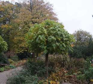 Parkanlage Planten un Blomen
