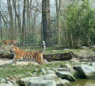Tiergarten Straubing