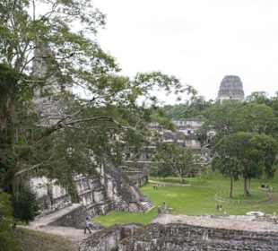 Tikal