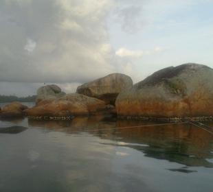 Koggala Lake
