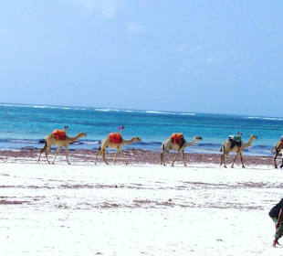 Diani Beach