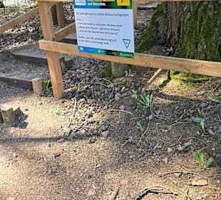 Der Anfang vom Weg