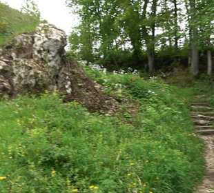 Ruine Burg Kaltenburg