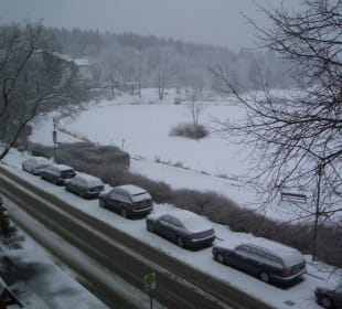 Ausblick vom Zimmer 2. Stock, auf Kranichsee Haus Vier Jahreszeiten in Hahnenklee am See