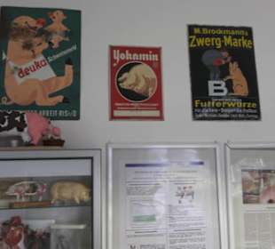 SchweineMuseum