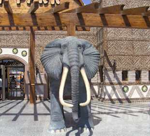 Jungle Aqua Park - Eingang