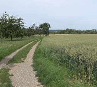Premiumspazierweg Früchtetrauf-Leisawegle