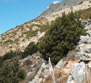 Kloster Profitis Ilias