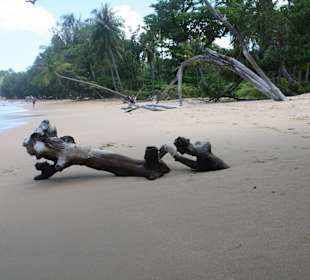 In der Nähe des Hotels