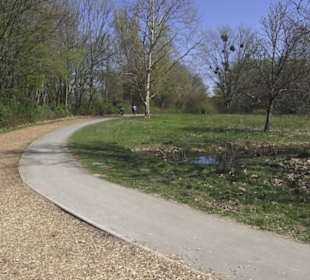 Sport- und Freizeitpark Markwasen