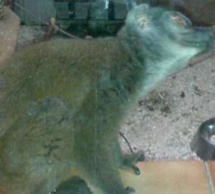 Zoo Olomouc
