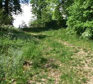 Burgruine Hohenringingen