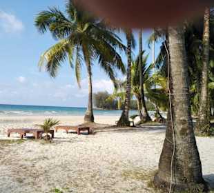 Blick aus dem Strandbungalow