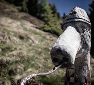 Wandern Bressanone / Brixen