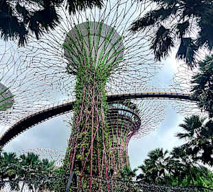 Gardens by the Bay