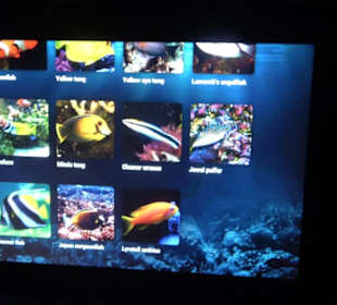 National Aquarium Malta