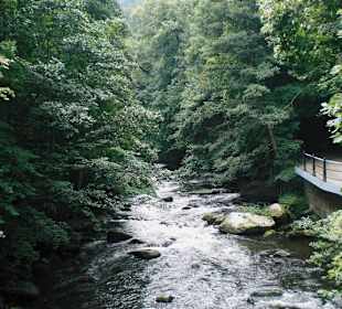 Wanderweg zum Hexentanzplatz