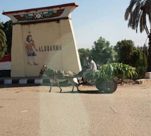Ausflug nach Luxor
