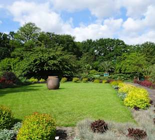 Spaziergang durch den Botanischen Garten Bremen