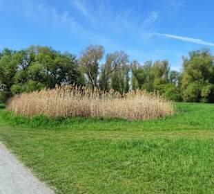 Impressionen vom Rundgang um den Südsee