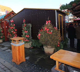 Blick vom Rathaus auf den Weihnachtsmarkt