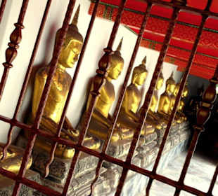 Bangkok Entdeckungen mit Green-Mango