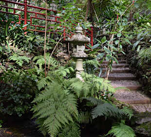 Asiatischer Bereich des Parks