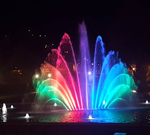 Lichtshow Rosengarten 