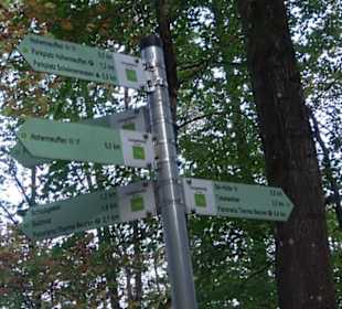 Premiumwanderweg hochgehkeltert