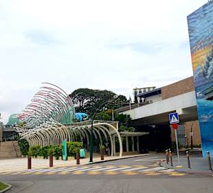 Sentosa Express