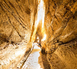 Cuevas de Urdax