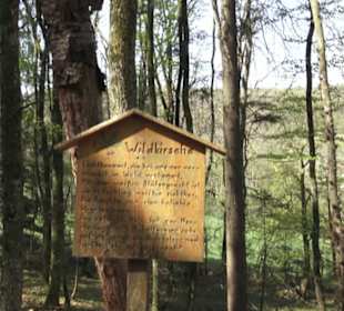 Waldlehrpfad an der Lauter