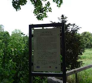 Donauzusammenfluss Donaueschingen