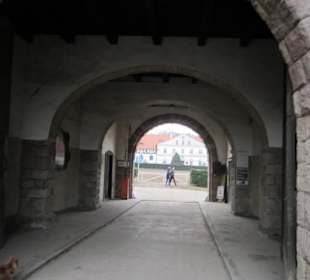 Schloss Fürstenstein ( Ksiaz ) Staatliches Gestüt