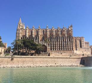 Palma