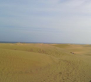 Die Duenen von Maspalomas