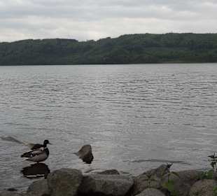 Der Laacher See