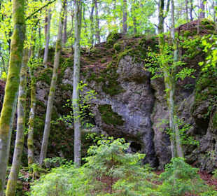 Wanderung zum Bärenfels