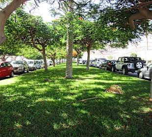 Stadtrundgang Jandia / Playa de Jandia