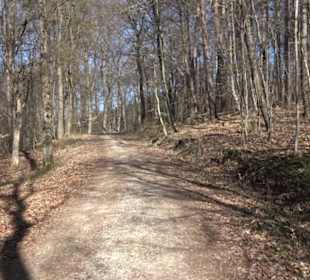 Geschichtlicher Lehrpfad Einsiedel