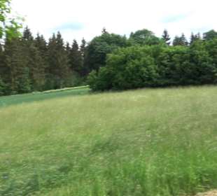 Premiumwanderweg "hochgehackert"