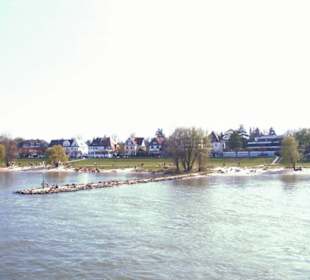 Rhein-Schifffahrt mit der Köln - Düsseldorfer