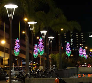 Weihnachten im Funchal