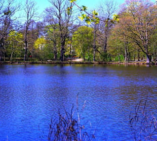 Kleine Dutzendteich