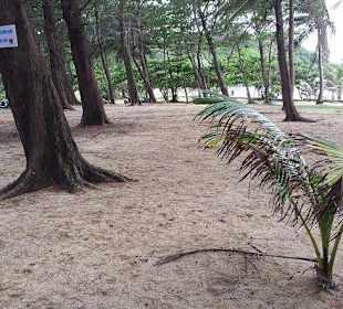 Da waren unsere Schönen Lokale