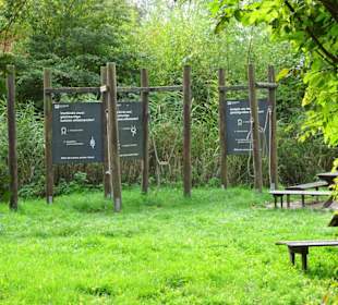 Schifferknotenstation im Natureum Niederelbe