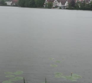 Stadtsee