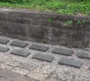 Evangelische Kirche Engeltal Hallwangen