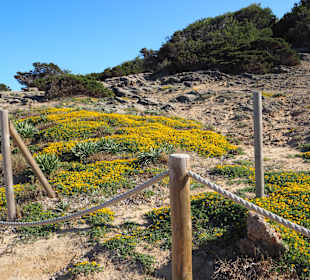 Super schöne Wanderung vom Hotel aus.