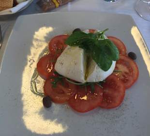 Tomate mit Büffelmozarella